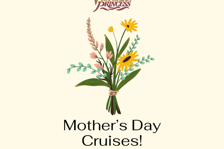 a close up of a flower