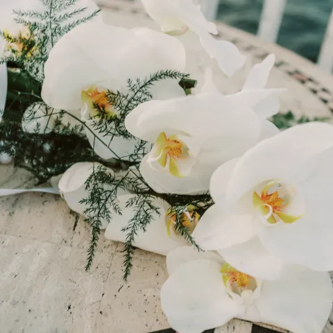 White orchids with greenery on a patterned table.