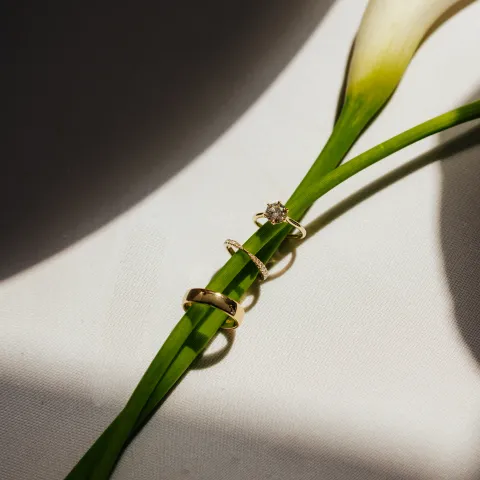 Three gold rings on a lily stem with dramatic lighting.
