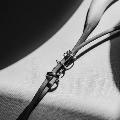 Three rings on flower stems in dramatic lighting.