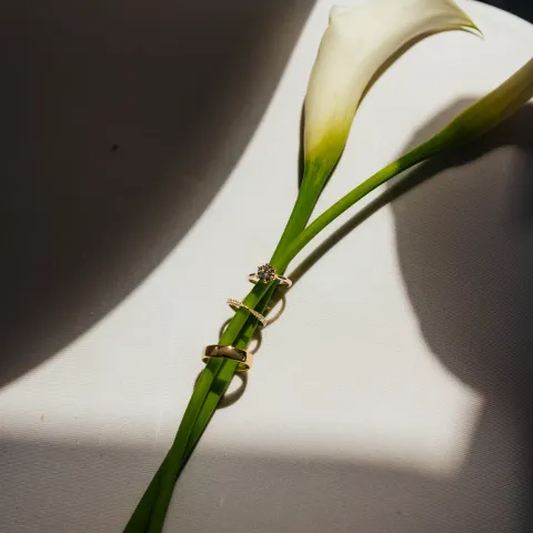 Two gold rings on a white lily stem, with shadows.